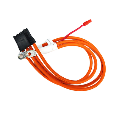 Rakitan Kabel Daya Ev 25mm, Kabel Daya Baterai Penyimpanan Energi OEM