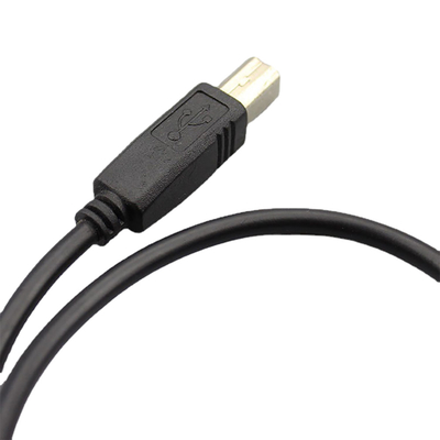 Rakitan Kabel Overmolding RS232 Kustom Tipe DB9 Female Ke USB 2.0 B Male
